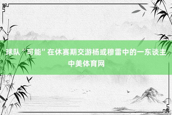 球队“可能”在休赛期交游杨或穆雷中的一东谈主中美体育网