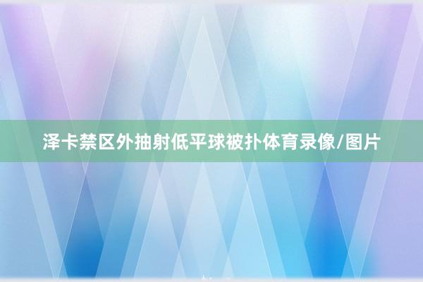 泽卡禁区外抽射低平球被扑体育录像/图片