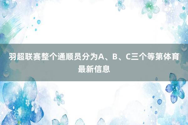 羽超联赛整个通顺员分为A、B、C三个等第体育最新信息