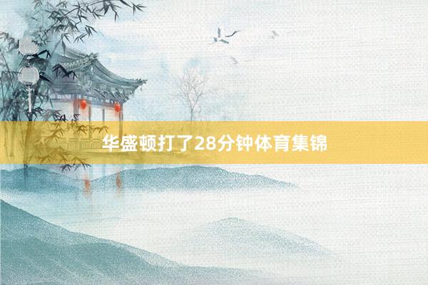 华盛顿打了28分钟体育集锦