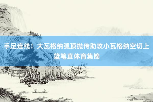 手足连线！大瓦格纳弧顶抛传助攻小瓦格纳空切上篮笔直体育集锦