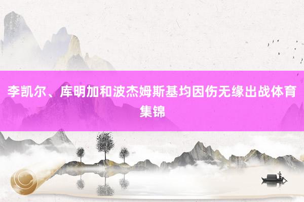 李凯尔、库明加和波杰姆斯基均因伤无缘出战体育集锦